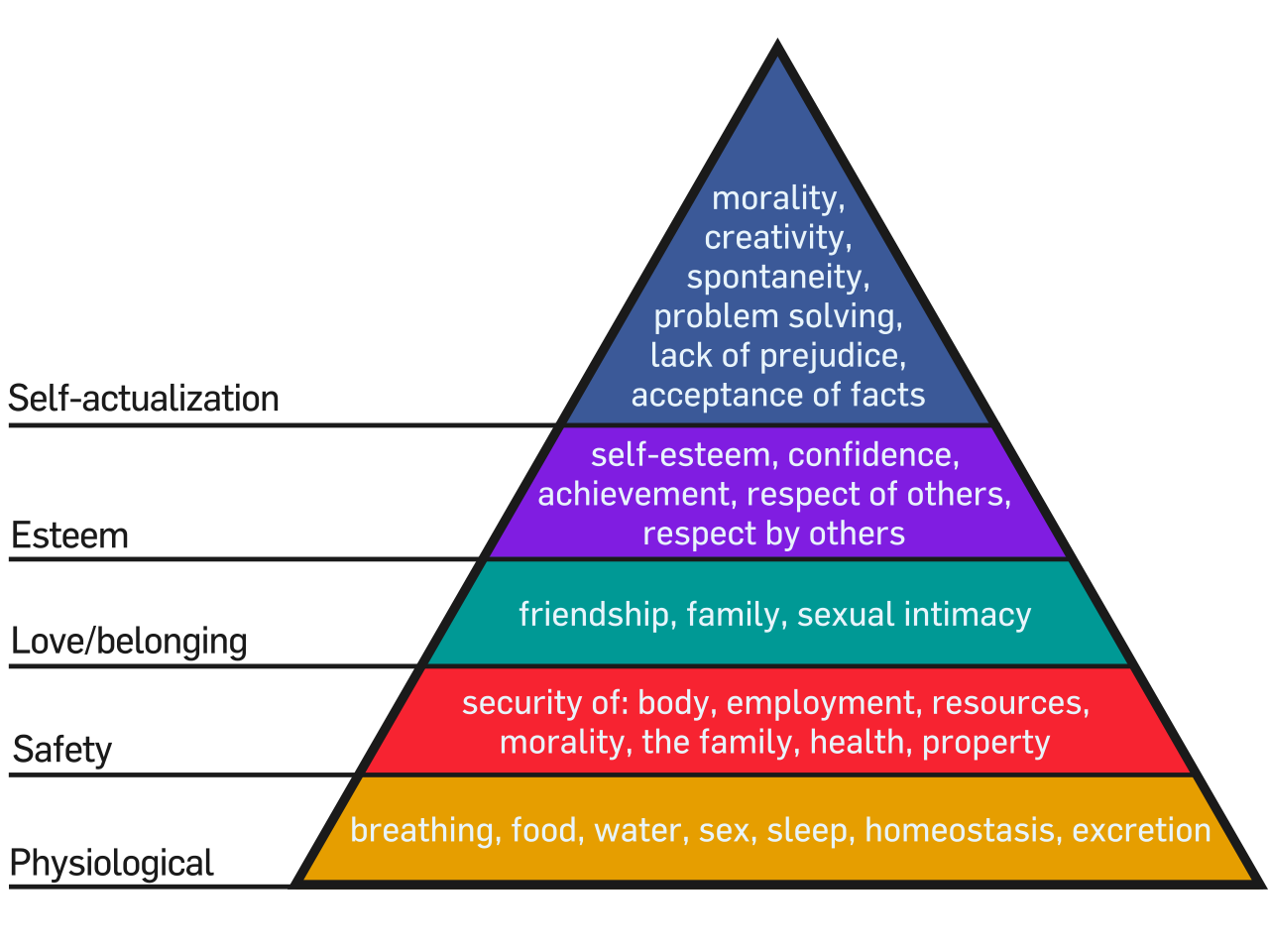 Levels of Insight BA 850 Sustainability Driven Innovation