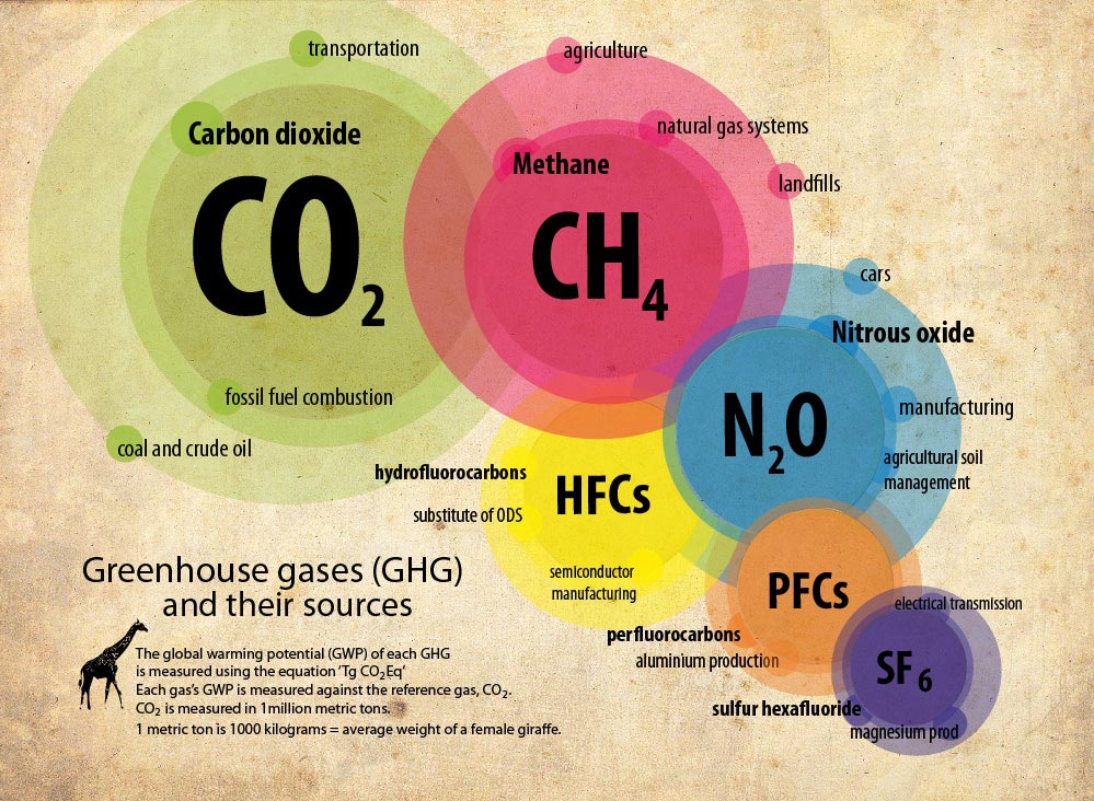 Greenhouse Emissions And Carbon Taxes BA 850 Sustainability Driven 