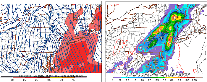 A computer generated forecast that shows surface streamlines and color contours of wind speed along with a map of predicted precipitation.