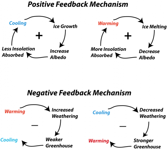 Feedback Mechanisms EARTH 103 Earth In The Future