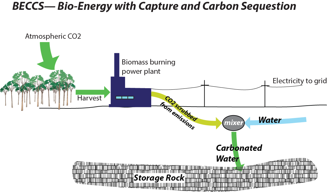 Bio-Energy With Carbon Capture And Sequestration (BECCS) | EARTH 104 ...