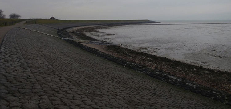 Sea Dikes | Coastal Processes, Hazards, and Society