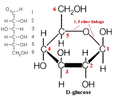 download glucose structure