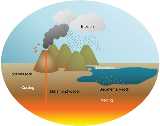 Cartoon showing rain and volcanic activity, deposition and sedimentary rock, and igneous rock, cooling, metamorphic rock, and melting. 