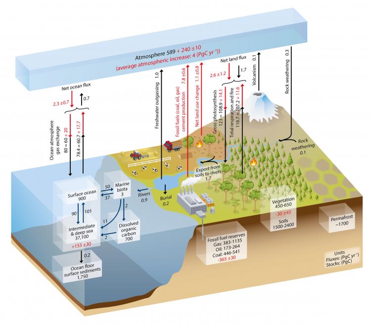 This image shows an illustration of the various sources and sinks of carbon dioxide. The natural emissions are significantly higher than the anthropogenic emissions.