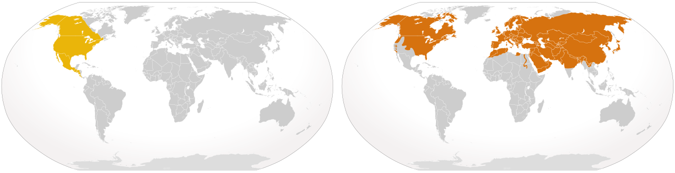 Maps showing the territory of the coyote (North America & some of central America) and the red fox (Most of Northern Hemisphere). Overlap in North America.