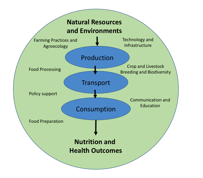 Food Systems Environments Production Distribution And Household Utilization Of Food Geog 3 The Future Of Food