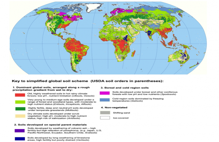 Simplified global soil map classified into broad categories.