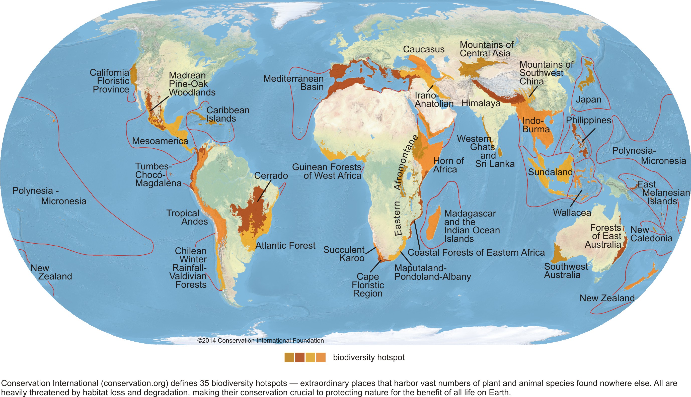 Biodiversity Hotspots