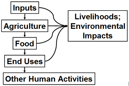 food system components diagram