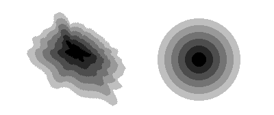 Graphic image showing incrimental distances represented as rings around features.