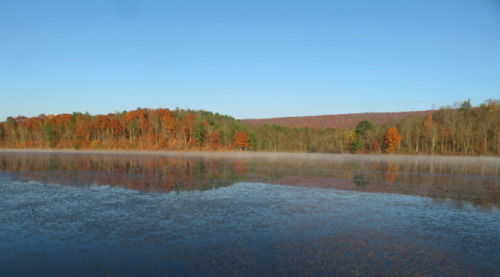 Shavers Creek with reflection of fall trees in water