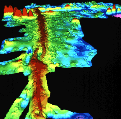 Topographic map of a segment of the Mid-Oceanic Ridge