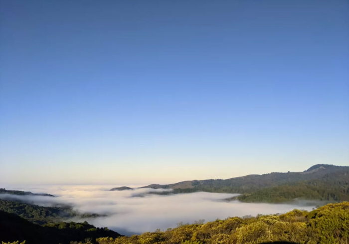 a river of fog in the valley near Muir Woods