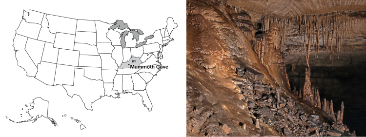 Cave formations in the Violet City section of Mammoth Cave, Kentucky. Look Like waves.  