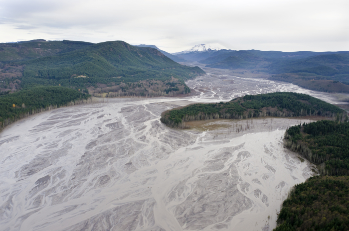 large river in a Y shape