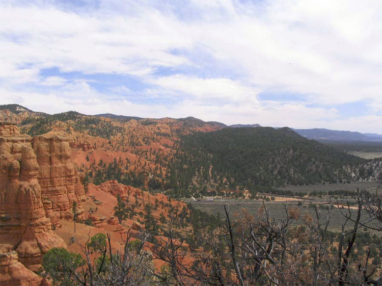 Picture of the Sevier Fault in Red Canoyn with Orange-red rocks on the left and blackish rocks with more trees on the right