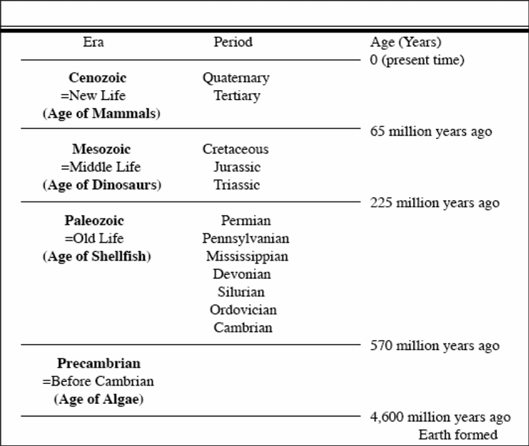 The Geologic Timescale separated into eras