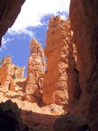 Sedimentary rocks of Wall Street, Bryce National Park.