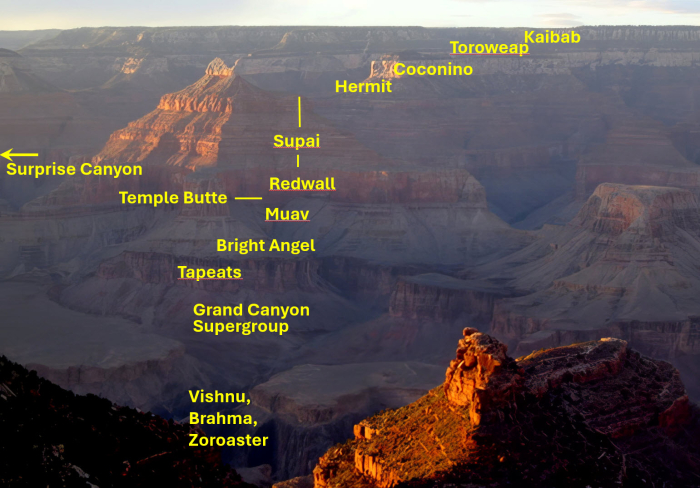 Diagram showing the rock units exposed in the walls of the Grand Canyon, and the erosional surfaces (called unconformities) that separate some of the rock units.