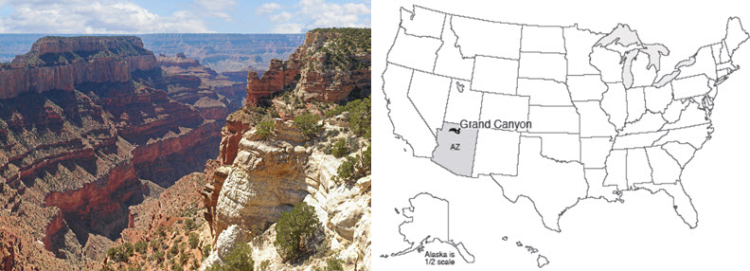 Map of the US with Grand Canyon National Park, Arizona highlighted