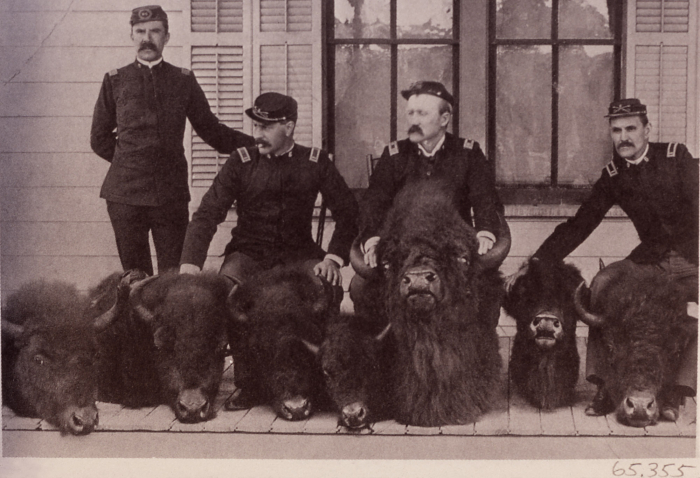 black and white photo. 4 men in uniforms standing behind 7 dead bison.