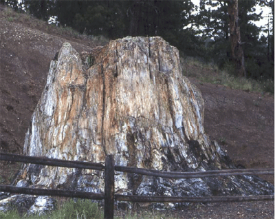 Textbook : Florissant Fossil Beds | GEOSC 10: Geology of the National  Parks