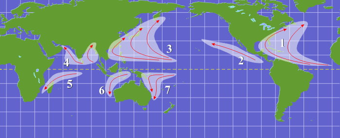 The seven breeding grounds for tropical cyclones across the globe