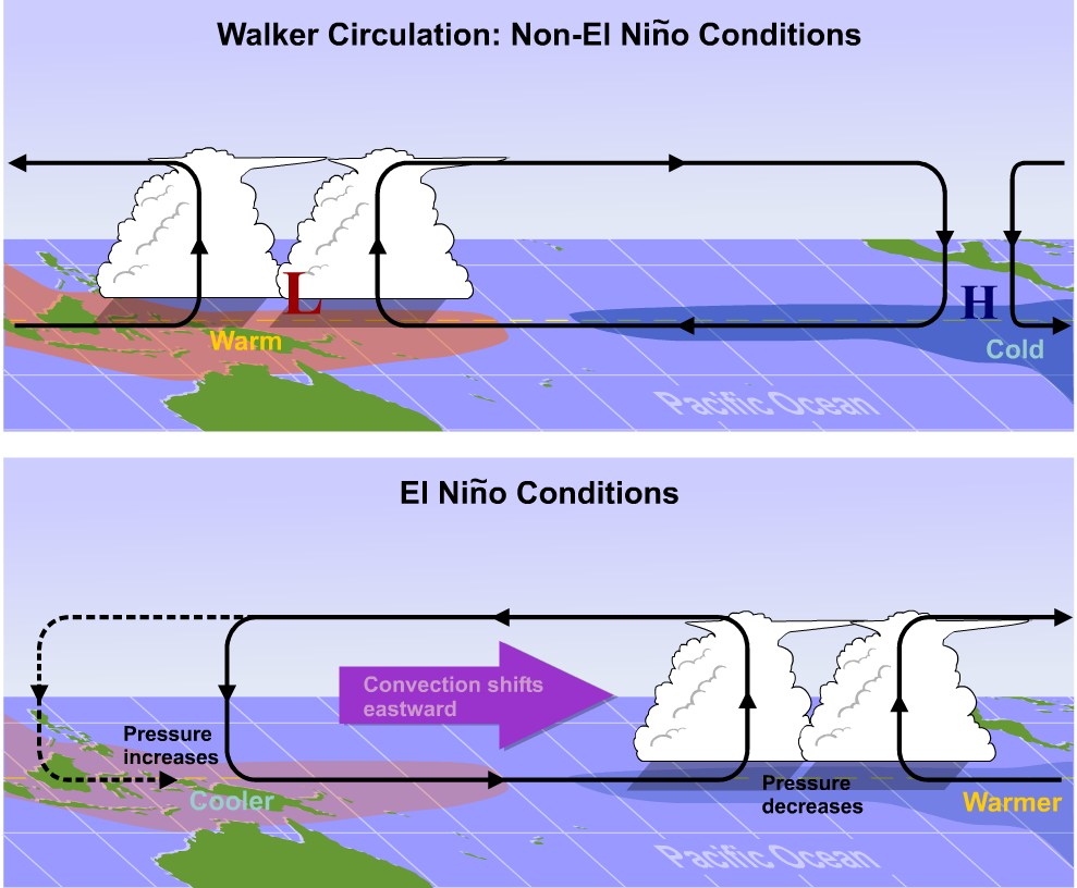Local And Global Effects Of El Niño And La Niña Meteo 3 Introductory